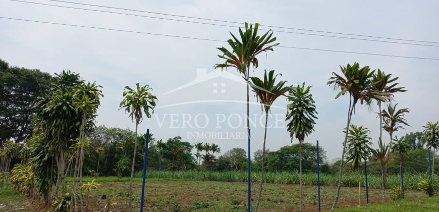 Guadalupe Barreal / 500 m2 / Terreno en Venta (2527-196)