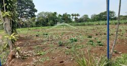 Guadalupe Barreal / 500 m2 / Terreno en Venta (2527-196)