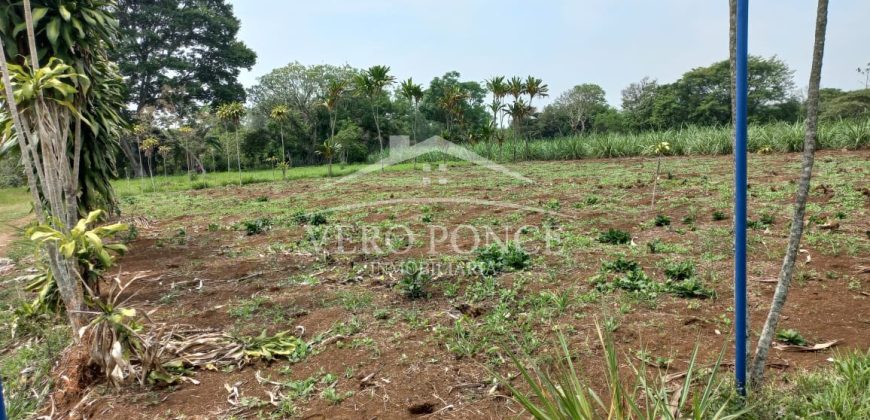 Guadalupe Barreal / 500 m2 / Terreno en Venta (2527-196)