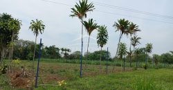 Guadalupe Barreal / 500 m2 / Terreno en Venta (2527-196)