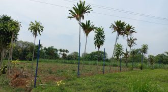 Guadalupe Barreal / 500 m2 / Terreno en Venta (2527-196)