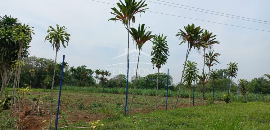 Guadalupe Barreal / 500 m2 / Terreno en Venta (2527-196)