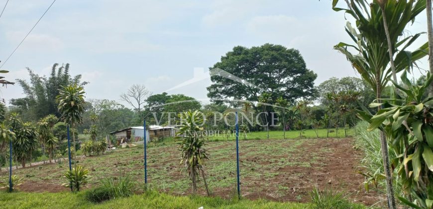 Guadalupe Barreal / 500 m2 / Terreno en Venta (2527-196)