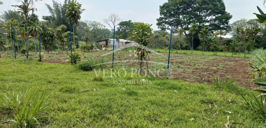 Guadalupe Barreal / 500 m2 / Terreno en Venta (2527-196)