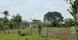 Guadalupe Barreal / 500 m2 / Terreno en Venta (2527-196)