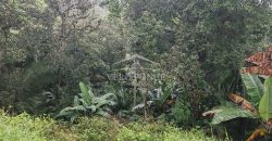 Boulevard Fundadores / 2000 m2 / Terreno en Venta (2501-188)