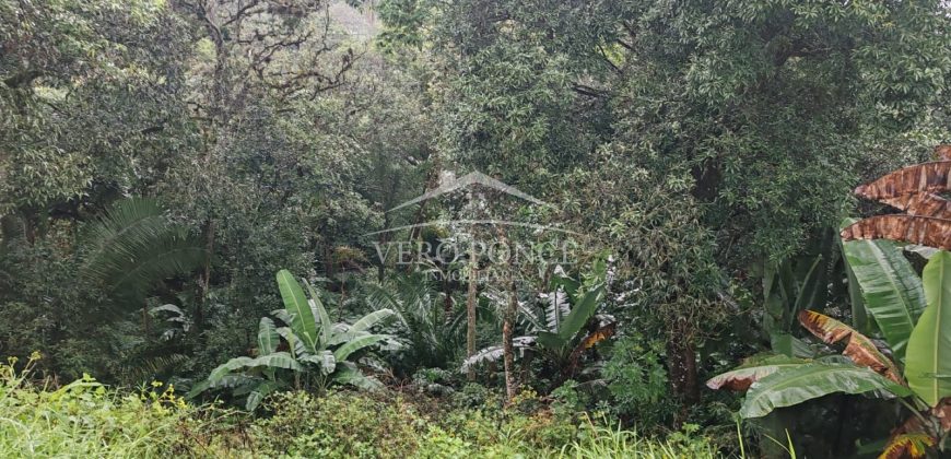 Boulevard Fundadores / 2000 m2 / Terreno en Venta (2501-188)