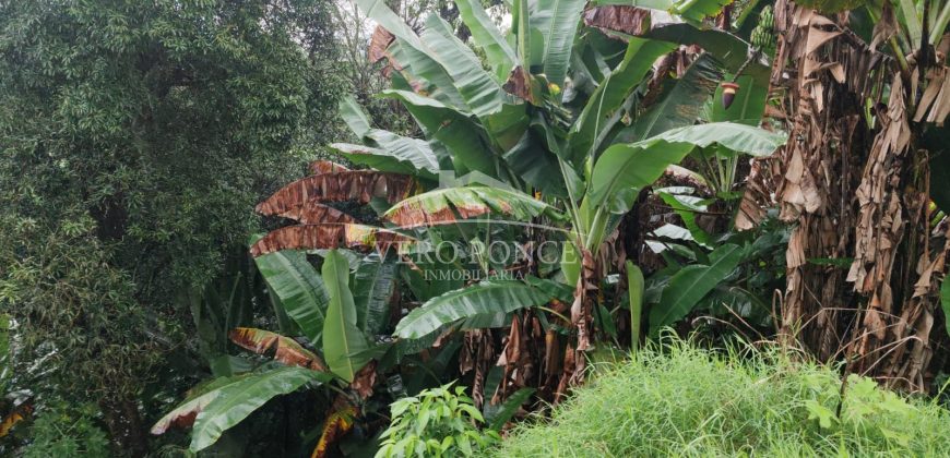 Boulevard Fundadores / 2000 m2 / Terreno en Venta (2501-188)