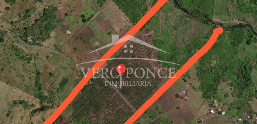 Carrillo Puerto / 40 ha / Terreno en Venta (2526-186)