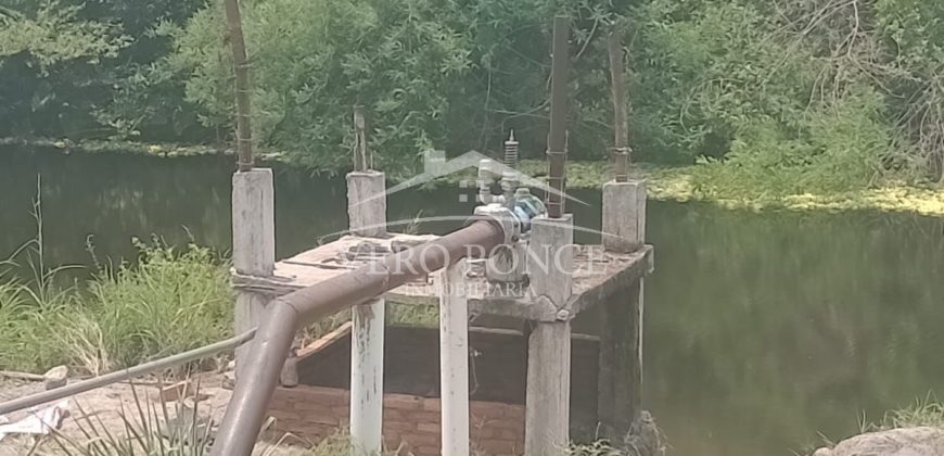 Carrillo Puerto / 40 ha / Terreno en Venta (2526-186)