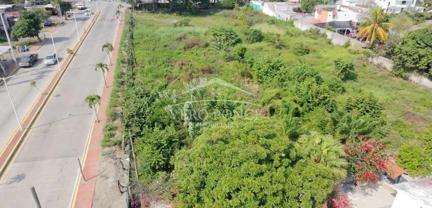 Yanga, Veracruz / 5000 m2 / Terreno en Venta (2526-191)