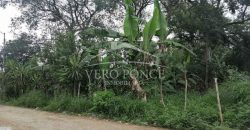 Fraccionamiento Naranjos / 3255 m2 / Terreno en Venta (2527-195)