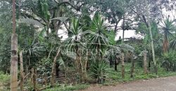 Fraccionamiento Naranjos / 3255 m2 / Terreno en Venta (2527-195)