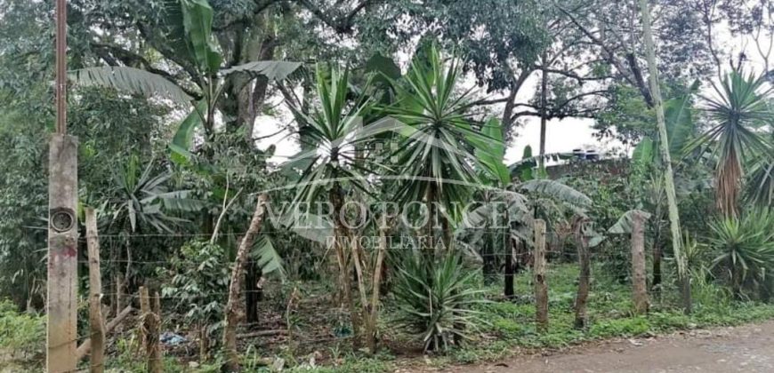 Fraccionamiento Naranjos / 3255 m2 / Terreno en Venta (2527-195)