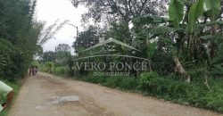 Fraccionamiento Naranjos / 3255 m2 / Terreno en Venta (2527-195)