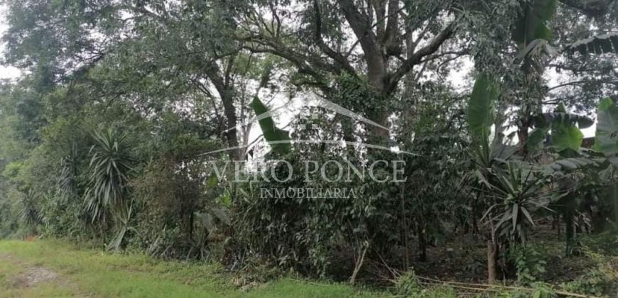 Fraccionamiento Naranjos / 3255 m2 / Terreno en Venta (2527-195)