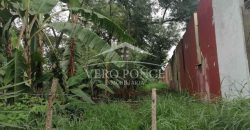 Fraccionamiento Naranjos / 3255 m2 / Terreno en Venta (2527-195)