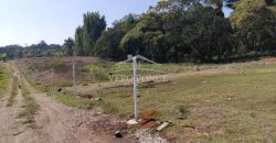 Altavista / 5000 m2 / Terreno en Venta (2601-210)