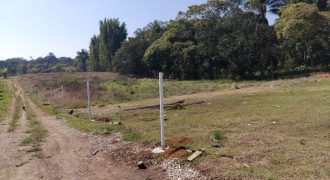 Altavista / 5000 m2 / Terreno en Venta (2601-210)