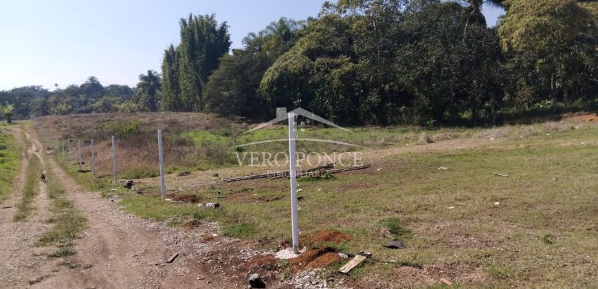 Altavista / 5000 m2 / Terreno en Venta (2601-210)