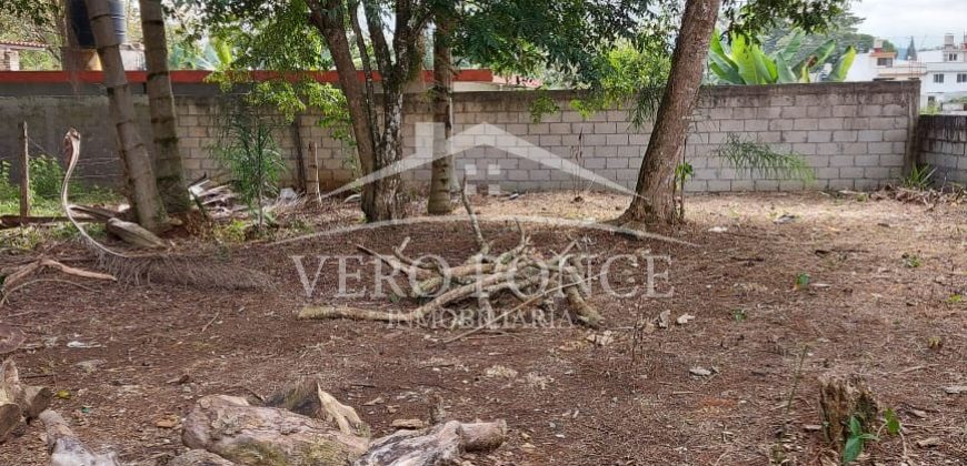 Fracc Las Palmas / 936 m2 / Terreno en Venta (2601-215)