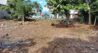Fracc Las Palmas / 936 m2 / Terreno en Venta (2601-215)
