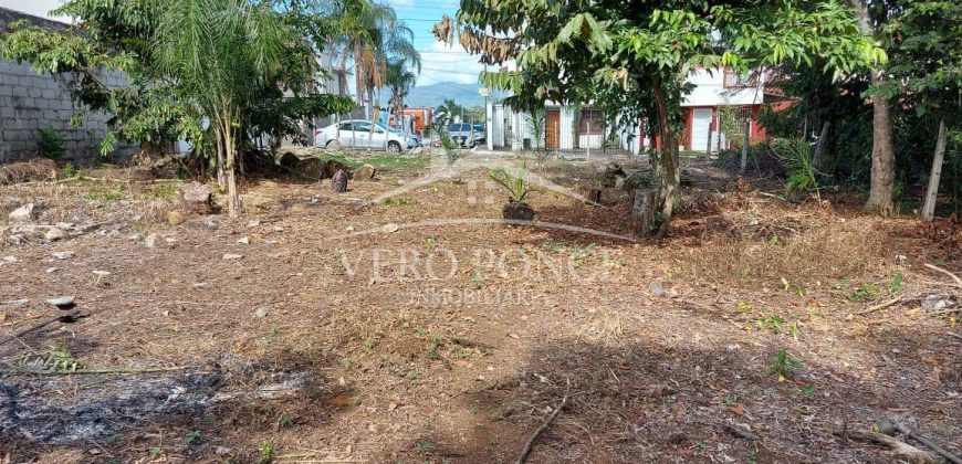 Fracc Las Palmas / 936 m2 / Terreno en Venta (2601-215)