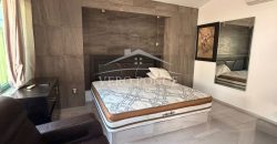 Calzada Morelos / Suite en Renta (2601-229)