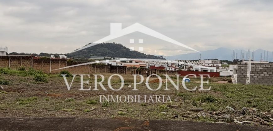 Fracc Villitas / 347.42 m2 / Terreno en Venta (2628-236)