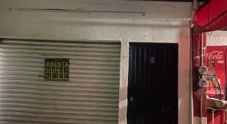 Los Pinos / Departamento en Renta (2601-249)