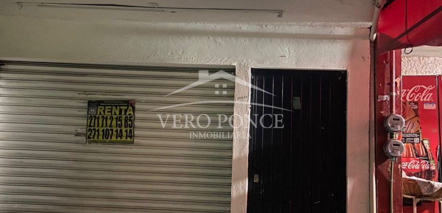 Los Pinos / Departamento en Renta (2601-249)