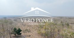 Soledad de Doblado / 500 ha / Rancho en Venta (2626-254)
