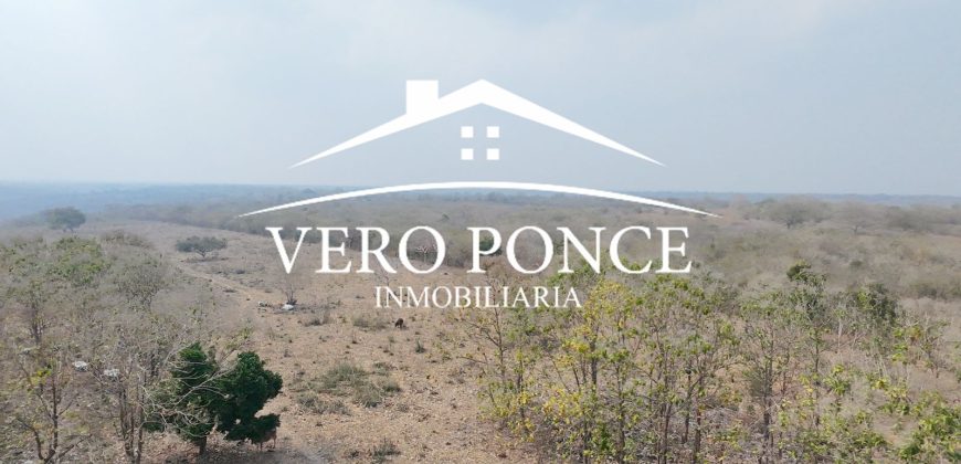 Soledad de Doblado / 500 ha / Rancho en Venta (2626-254)