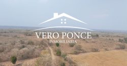 Soledad de Doblado / 500 ha / Rancho en Venta (2626-254)