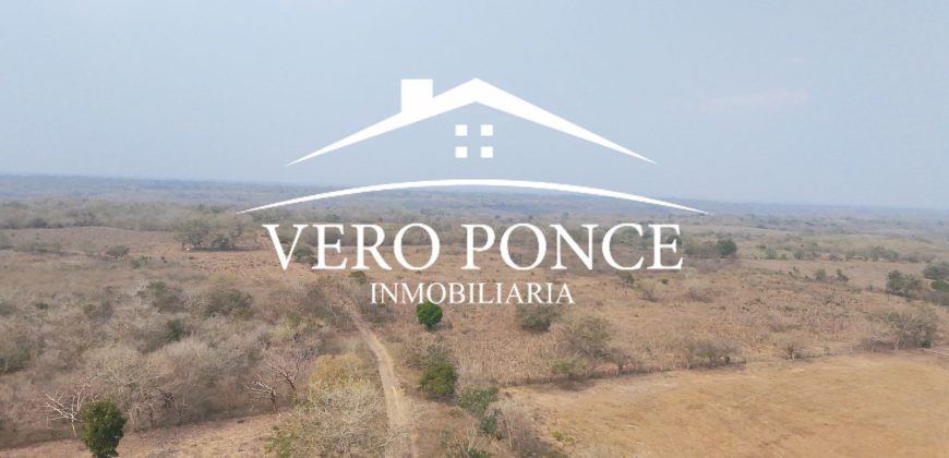 Soledad de Doblado / 500 ha / Rancho en Venta (2626-254)