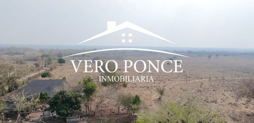 Soledad de Doblado / 500 ha / Rancho en Venta (2626-254)