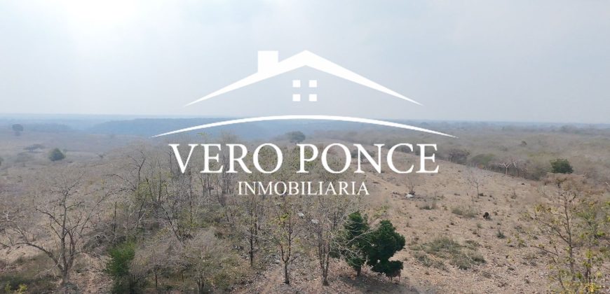 Soledad de Doblado / 500 ha / Rancho en Venta (2626-254)
