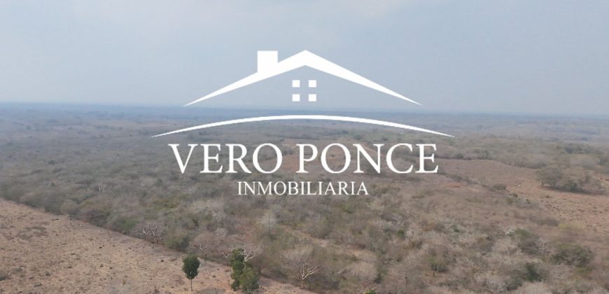 Soledad de Doblado / 500 ha / Rancho en Venta (2626-254)