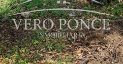 Ampliación 20 de noviembre / 287 m2 / Terreno en Venta (2603-295)