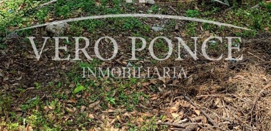 Ampliación 20 de noviembre / 287 m2 / Terreno en Venta (2603-295)