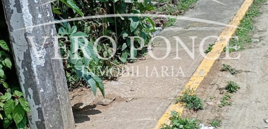 Ampliación 20 de noviembre / 287 m2 / Terreno en Venta (2603-295)