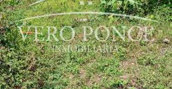 Ampliación 20 de noviembre / 287 m2 / Terreno en Venta (2603-295)