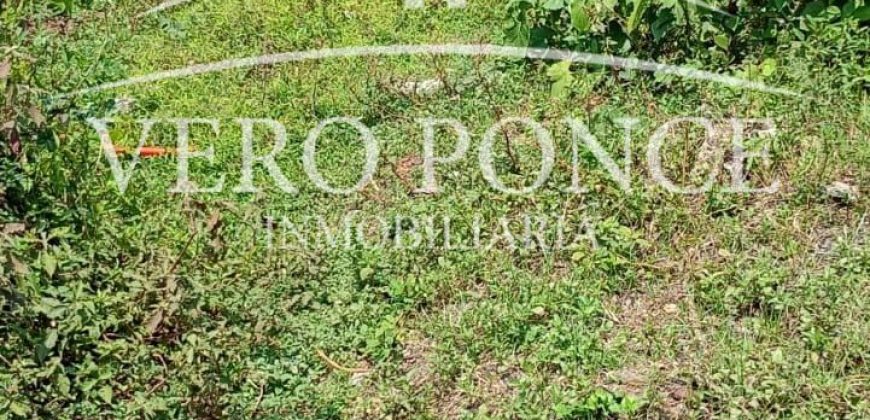 Ampliación 20 de noviembre / 287 m2 / Terreno en Venta (2603-295)