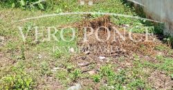 Ampliación 20 de noviembre / 287 m2 / Terreno en Venta (2603-295)