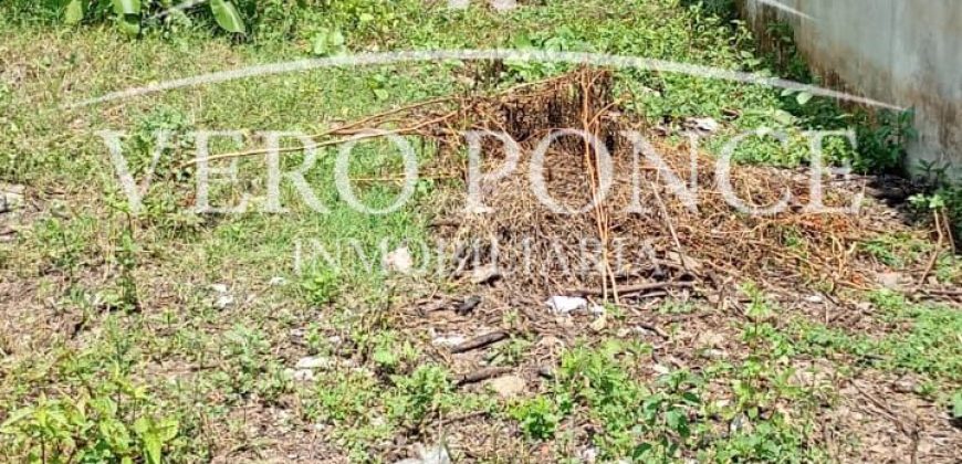 Ampliación 20 de noviembre / 287 m2 / Terreno en Venta (2603-295)