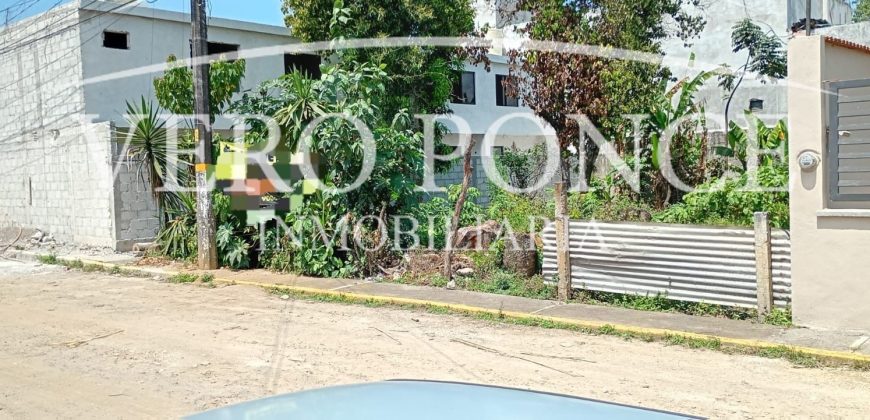 Ampliación 20 de noviembre / 287 m2 / Terreno en Venta (2603-295)