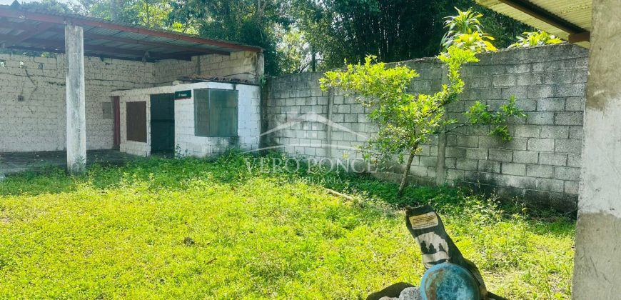 Agustín Millán / Casa en Venta (2624-296)