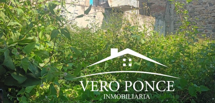 Colonia Independencia / 105 m2 / Terreno en Venta (2625-271)