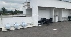 Los Encinos / Departamentos en Renta (2601-307)