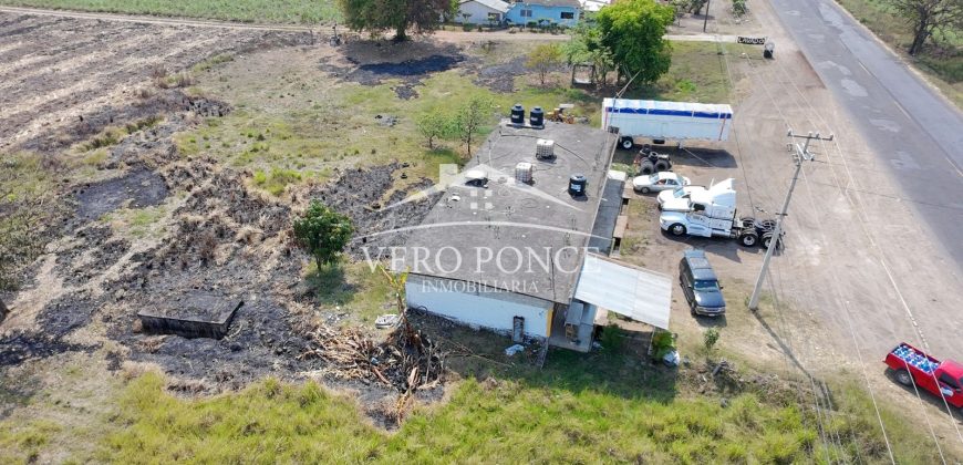 Yanga, Veracruz / 3000 m2 / Terreno en Renta (2601-329)